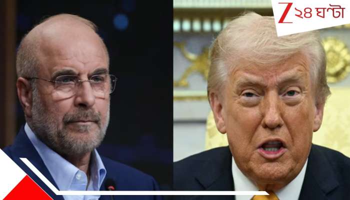 Iran-US War: একটা ঠগ, এক ঘণ্টায় সাতটা মিথ্যে দাবি করেছেন ট্রাম্প: ইরানের বোমায় ফের বিপন্ন হরমুজ়, ফের যুদ্ধ?