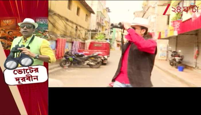  What did common people see when looking through the election telescope