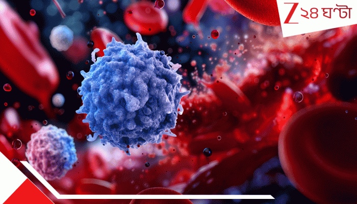 BIG SHOCKING BREAKING: শরীরে ছড়িয়ে পড়ল ভয়াল মারণ সংক্রমণ, ICU-তে মৃত্যুর সঙ্গে লড়াই জাতীয় দলের নক্ষত্র ক্রিকেটারের, IPL-র মাঝে হাড়হিম খবরে প্রার্থনায় দেশ