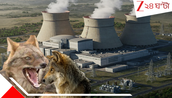 Chernobyl Nuclear Disaster: বিশ্বের ভয়ংকরতম তেজস্ক্রিয় বিকিরণে লাশের পাহাড়: টন টন ইউরেনিয়ামে হাজার হাজার মৃত্যু, রক্তলোলুপ নেকড়ে