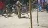 Video: গোখরো সাপ নিয়ে কেরামতি! মালদহে বেঘোরে মৃত্যু &#039;সর্পপ্রেমী&#039;র