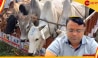 Cow Smuggling: মাত্র ৮ বছরেই ইলামবাজারের বেতাজ বাদশা, গোরুপাচার থেকে কোটি কোটি টাকার সম্পত্তি লতিফের 
