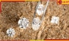 Diamonds In The Desert: হীরক রাজ্য হাতের মুঠোয়! মরুভূমিতে রাশি রাশি &#039;মহা&#039; রত্নের চাষ...